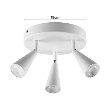 LIVARNO® LED-Deckenleuchte »FREYA« - B-Ware