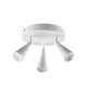 LIVARNO® LED-Deckenleuchte »FREYA« - B-Ware