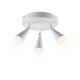 LIVARNO® LED-Deckenleuchte »FREYA« - B-Ware