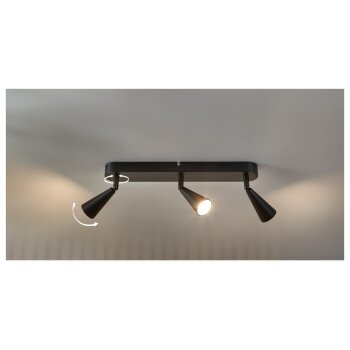 LIVARNO home LED-Deckenleuchte, 3 Strahler, warmweiß (oval/schwarz) - B-Ware gut