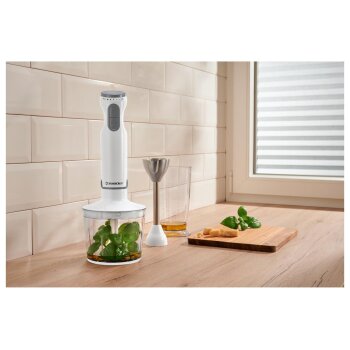 SILVERCREST® Stabmixer Set Kunststoff 4-tlg. SSMS 600...