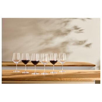 SILVERCREST® Sektgläser / Weißweingläser / Rotweingläser / Wassergläser, 6 Stück - B-Ware