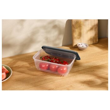 SILVERCREST® Frischhaltedosen-Sets, 4er/ 6er/ 8er/ 10er (6 x 2,0 l) - B-Ware sehr gut