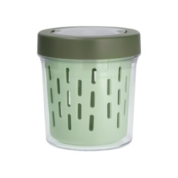 SILVERCREST® Obst-to-go-Box / Joghurt-to-go-Box (Obstbox, Mint) - B-Ware sehr gut
