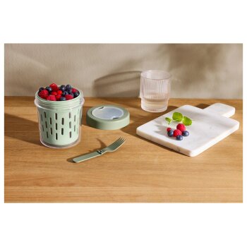 SILVERCREST® Obst-to-go-Box / Joghurt-to-go-Box (Obstbox, Mint) - B-Ware sehr gut