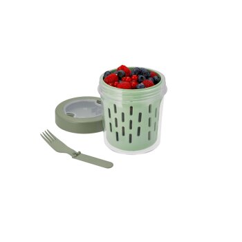 SILVERCREST® Obst-to-go-Box / Joghurt-to-go-Box (Obstbox, Mint) - B-Ware sehr gut