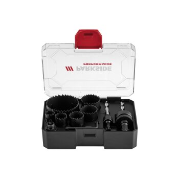PARKSIDE PERFORMANCE® 11-teiliger...