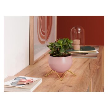 LIVARNO home 2er Set Blumentöpfe, klein, rosa -...