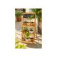 LIVARNO® Pflanzentreppe - B-Ware