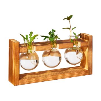 PARKSIDE® Ableger-Anzuchtset (Rundkolben/Holzgestell) - B-Ware neuwertig