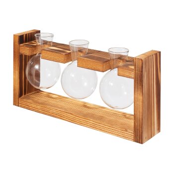 PARKSIDE® Ableger-Anzuchtset (Rundkolben/Holzgestell) - B-Ware neuwertig