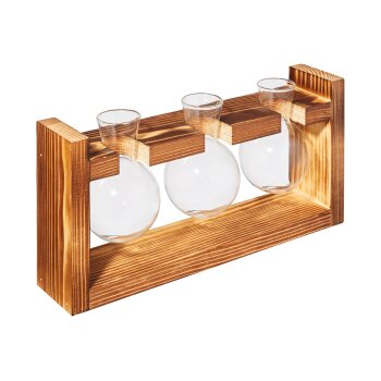 PARKSIDE® Ableger-Anzuchtset (Rundkolben/Holzgestell) - B-Ware neuwertig