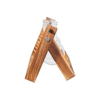 PARKSIDE® Ableger-Anzuchtset - B-Ware