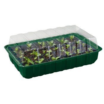 PARKSIDE® Anzuchtkasten-Set, 12-teilig - B-Ware...