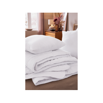 LIVARNO® Kopfkissen Proneem, 60 x 60 cm - B-Ware sehr gut