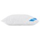 LIVARNO® Starfill Thermokissen, 60 x 60 cm - B-Ware Transportschaden Kosmetisch