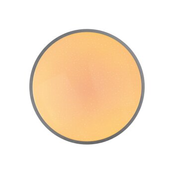 LIVARNO® LED-Deckenleuchte, mit Farbtonsteuerung, Ø 33, chrom - B-Ware gut