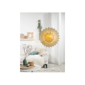 LIVARNO home Leuchtender LED-Stern, (Eldig) - B-Ware...