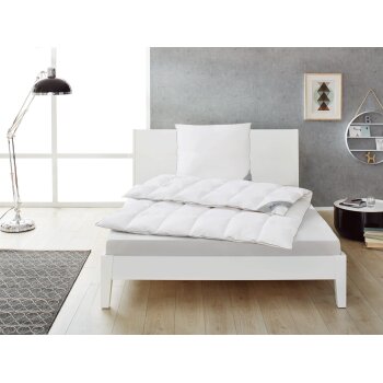 Balette Daunen-Kassettendecke Premium Selection 100%,...
