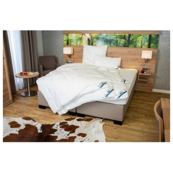 BeCo Vierjahreszeiten-Bettdecke »Medibett« -...