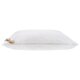 Livarno home Kopfkissen »Polygiene®« 60 x 70 cm - B-Ware neuwertig