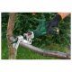 PARKSIDE® 12 V Akku-Astsäge »PAAS 12 B2«, ohne Akku und Ladegerät - B-Ware gut