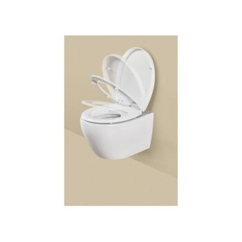 LIVARNO® Thermoplast-WC-Sitz mit Absenkautomatik - B-Ware neuwertig