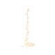 LIVARNO® LED-Sommerlichterkette - B-Ware