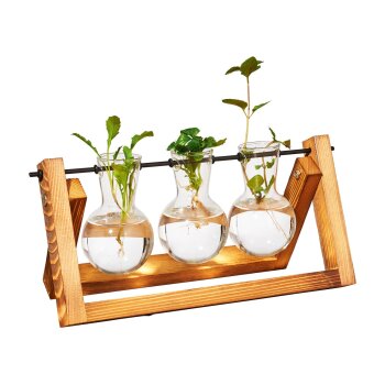 PARKSIDE® Ableger-Anzuchtset (Rundkolben/Metallgestell) - B-Ware sehr gut