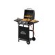 GRILLMEISTER Gasgrill 2-Brenner - B-Ware