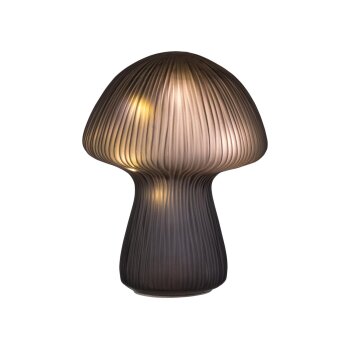 LIVARNO® LED-Dekoration, Pilz - B-Ware sehr gut