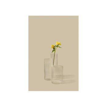 LIVARNO® 3-teiliges Glas-Vasen-Set, zylindrisch, geriffelt - B-Ware neuwertig