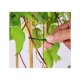 PARKSIDE® Wuchshilfen-Set / Pflanzendraht-Set (Set 10tlg) - B-Ware neuwertig