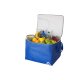 CRIVIT Kühltasche / Bierkasten-Kühltasche - B-Ware