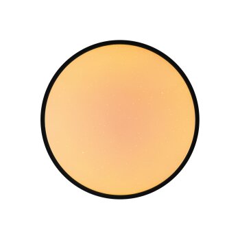 LIVARNO® Deckenleuchte LED-Deckenleuchte mit Farbtonsteuerung, Ø 33 (Schwarz) - B-Ware gut