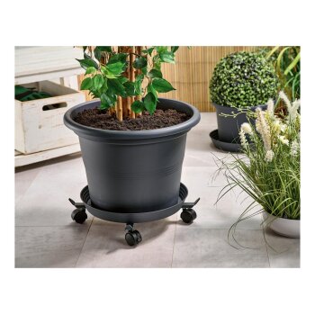 PARKSIDE® Teleskop-Pflanzenroller (Anthrazit) - B-Ware neuwertig