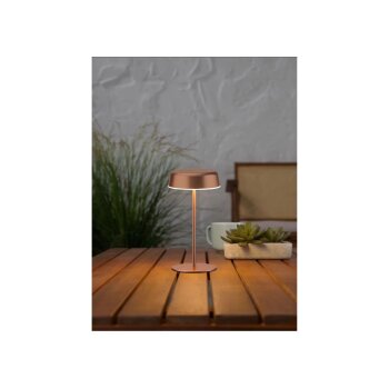 LIVARNO home LED-Akku-Tischleuchte, 1,4 W (Bronze) - B-Ware gut