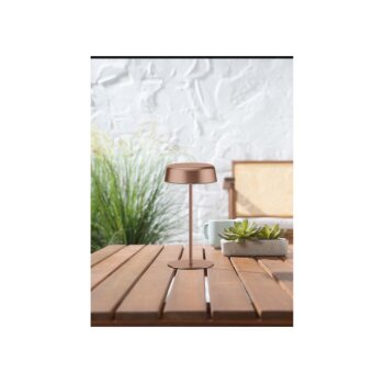 LIVARNO home LED-Akku-Tischleuchte, 1,4 W (Bronze) - B-Ware gut