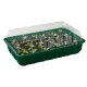 PARKSIDE® Anzuchtkasten-Set, 12-teilig - B-Ware sehr gut