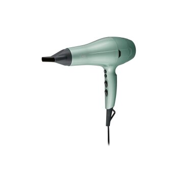 CIEN BEAUTY Premium-Ionen-Haartrockner (Mint) - B-Ware...