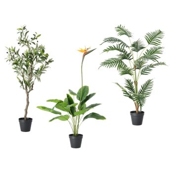 LIVARNO® Kunstpflanze Olivenbaum / Strelitzie / Palme...