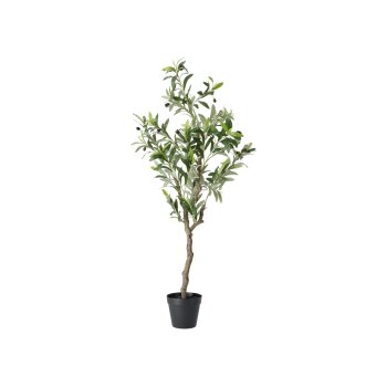 LIVARNO® Kunstpflanze Olivenbaum / Strelitzie / Palme...