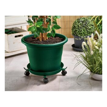 PARKSIDE® Teleskop-Pflanzenroller (Grün) - B-Ware neuwertig