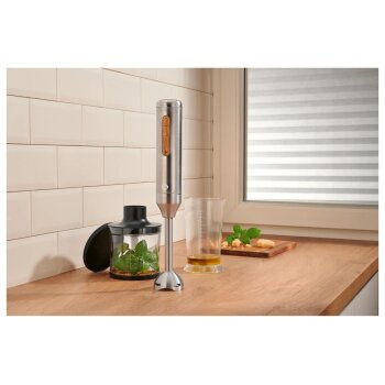 SILVERCREST® Stabmixer-Set SSSH 600 C1 - B-Ware