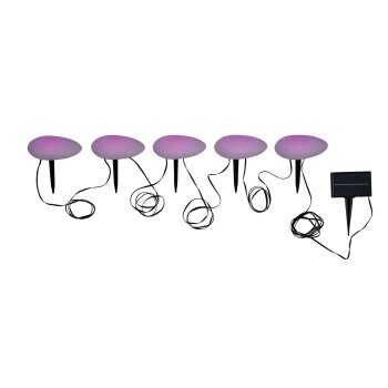 LIVARNO HOME RGB Solar-Bodenlichterkette, mit Erdspieße - B-Ware