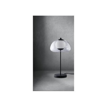 LIVARNO home LED-Tischleuchte, mit halbtransparentem Diffuser, 3 W (Transparent) - B-Ware neuwertig