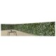 LIVARNO® Sichtschutz, 100 x 300 cm - B-Ware neuwertig