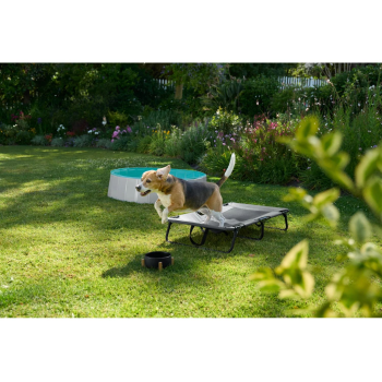 ZOOFARI® Hundepool - B-Ware