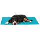 ZOOFARI® Hunde Kühlmatte - B-Ware