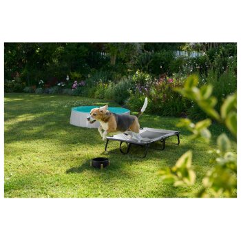 zoofari® Tierbett, Faltbare Hundeliege - B-Ware sehr gut